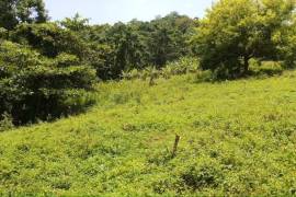 Residential Lot for Sale in Port Morant