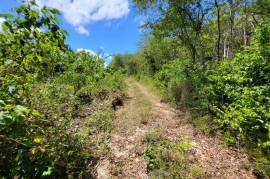 Residential Lot for Sale in Falmouth