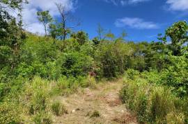 Residential Lot for Sale in Falmouth