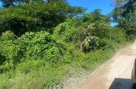 Residential Lot for Sale in Runaway Bay