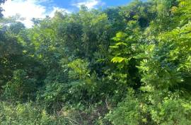 Residential Lot for Sale in Runaway Bay