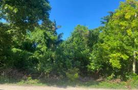 Residential Lot for Sale in Runaway Bay