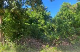 Residential Lot for Sale in Runaway Bay