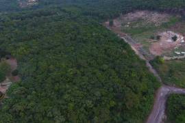 Residential Lot for Sale in Half Moon