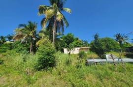 Residential Lot for Sale in Morant Bay