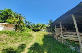 Residential Lot for Sale in Morant Bay