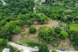 Residential Lot for Sale in Albert Town