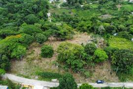 Residential Lot for Sale in Albert Town