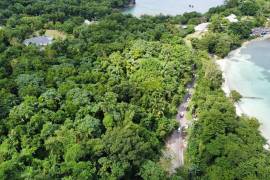 Residential Lot for Sale in Port Antonio