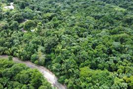 Residential Lot for Sale in Port Antonio