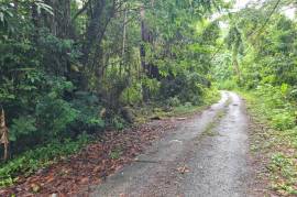 Residential Lot for Sale in Port Antonio