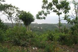 Residential Lot for Sale in Hope Bay