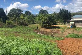 Residential Lot for Sale in Linstead