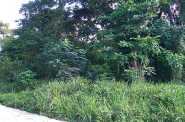 Residential Lot for Sale in Runaway Bay