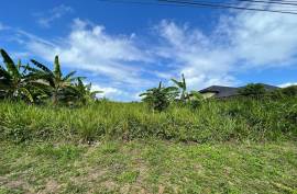 Residential Lot for Sale in Tower Isle