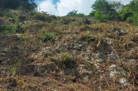 Residential Lot for Sale in Kingston 8