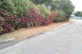 Residential Lot for Sale in Kingston 6