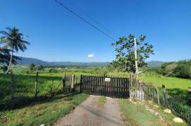 Residential Lot for Sale in Linstead