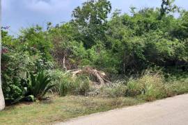 Residential Lot for Sale in Discovery Bay