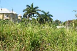 Residential Lot for Sale in Montego Bay