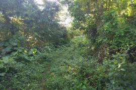 Residential Lot for Sale in Long Bay