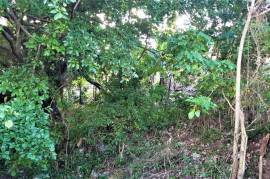 Residential Lot for Sale in Long Bay