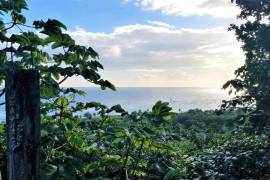 Residential Lot for Sale in Long Bay