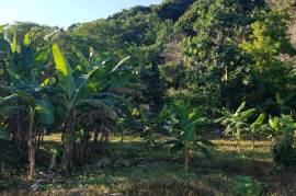 Residential Lot for Sale in Long Bay