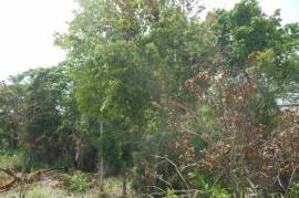 Residential Lot for Sale in Montego Bay