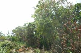 Residential Lot for Sale in Montego Bay