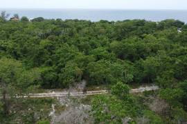 Residential Lot for Sale in Negril