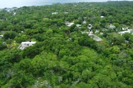 Residential Lot for Sale in Negril