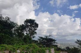 Residential Lot for Sale in Kingston 19