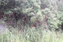 Residential Lot for Sale in Kingston 19