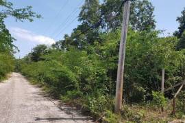 Residential Lot for Sale in Half Moon