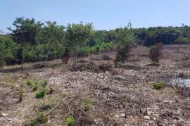 Residential Lot for Sale in Half Moon