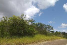 Residential Lot for Sale in Knockpatrick