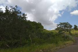 Residential Lot for Sale in Knockpatrick