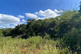 Residential Lot for Sale in Treasure Beach