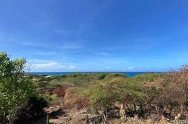 Residential Lot for Sale in Treasure Beach