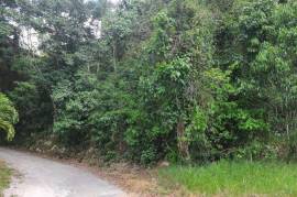 Residential Lot for Sale in Mandeville