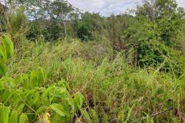 Residential Lot for Sale in Mandeville