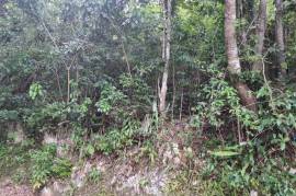 Residential Lot for Sale in Mandeville