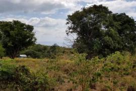 Residential Lot for Sale in Mandeville