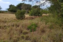 Residential Lot for Sale in Mandeville