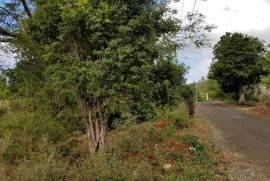 Residential Lot for Sale in Mandeville