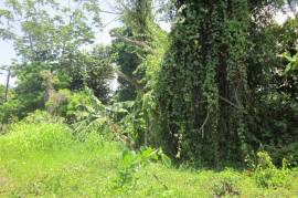 Residential Lot for Sale in Discovery Bay