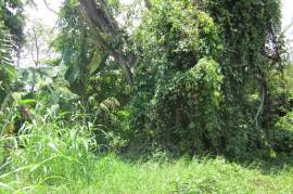 Residential Lot for Sale in Discovery Bay