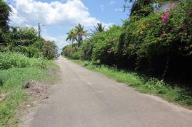 Residential Lot for Sale in Discovery Bay