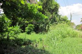 Residential Lot for Sale in Discovery Bay